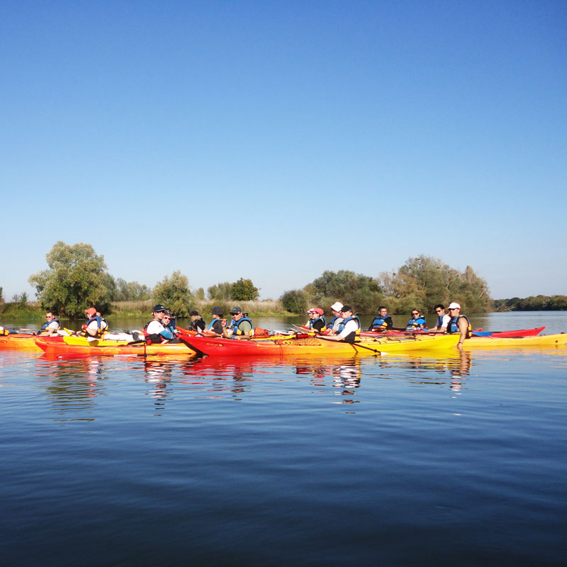 kayak-loisir-mer-800x800-1